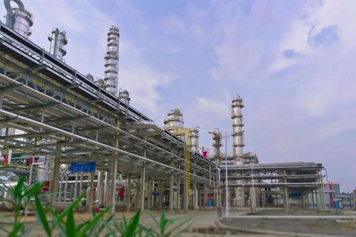 襄城縣 打通全球獨一無二的煤基尼龍化工產業鏈